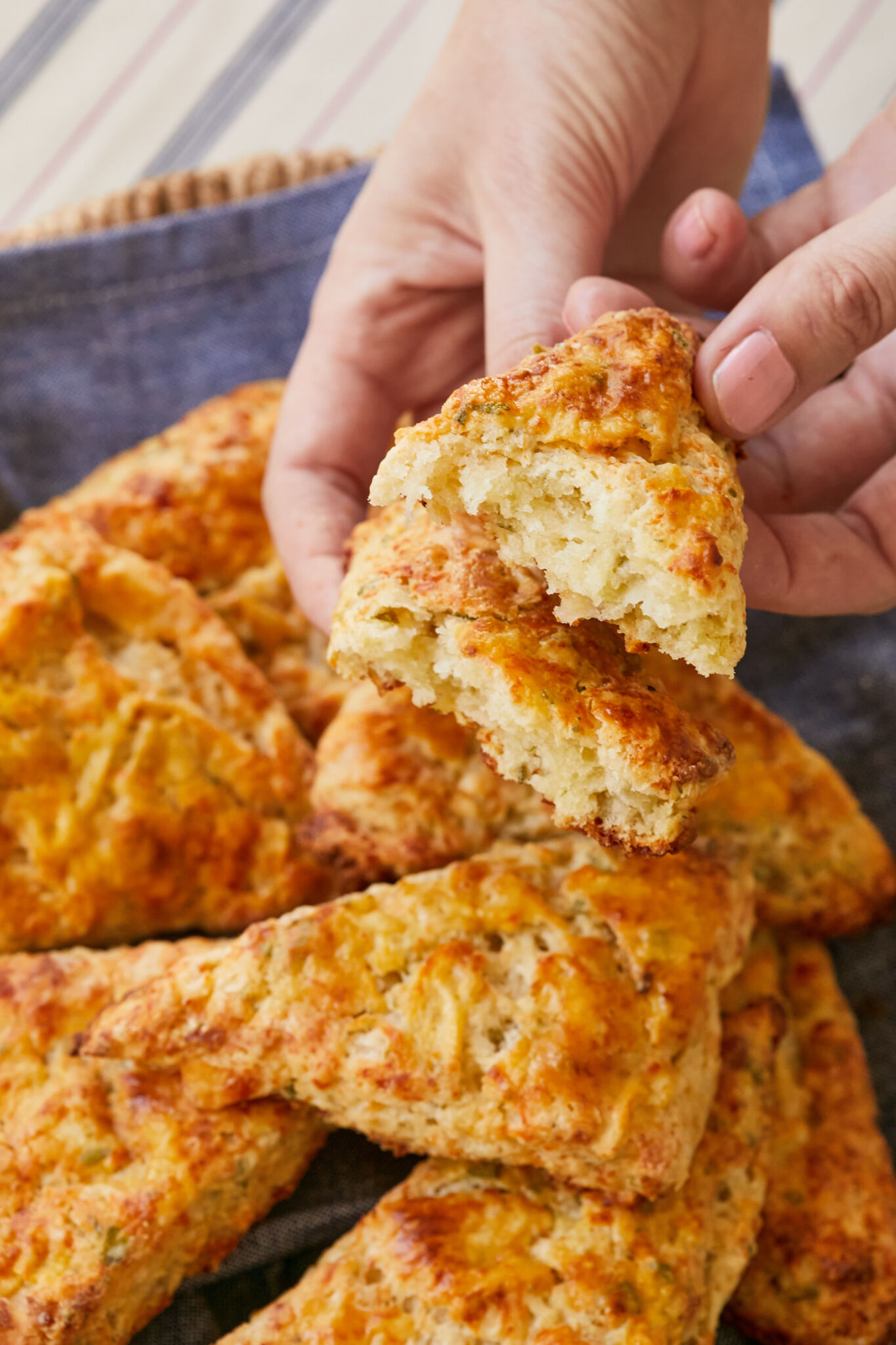 Apple Sage and Cheddar Scones are placed on a blue towel in a basket. They are baked to perfection with gorgeous golden brown color and crispy exterior all around with a crumbly, moist soft interior. 