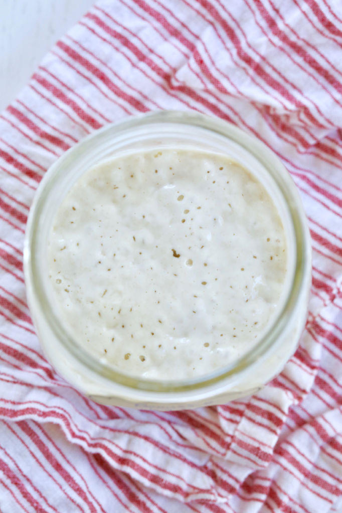 A top-view of my sourdough starter recipe, showing texture and bubbles.