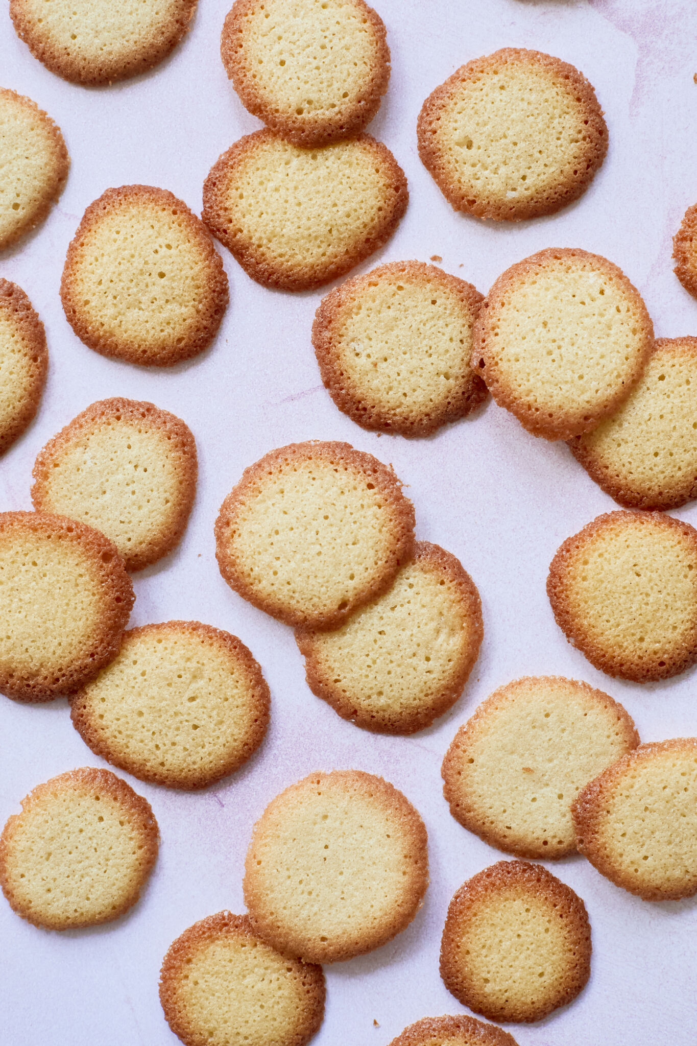 3 Homemade Cookie Recipes for Your Favorite Store-Bought Brands Homemade Nilla Wafers Recipe Vanilla Wafers