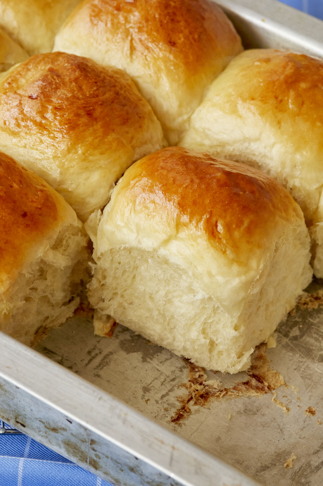 Insanely Fluffy Mashed Potato Dinner Rolls are baked until golden brown on top in a deep metal baking pan. The rolls are very soft and fluffy. 